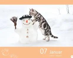Heye Kalender Abreiß-Kalender-Katzen my love Tagesabreißkalender 2026