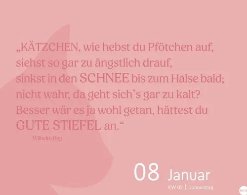 Heye Kalender Abreiß-Kalender-Katzen my love Tagesabreißkalender 2026
