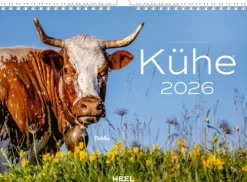 Heel Verlag GmbH Wandkalender*Kühe Kalender 2026 Wandkalender