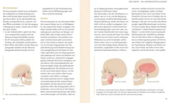 Kiefer & Zähneknirschen Schmerzen selbst behandeln*Graefe und Unzer Verlag New
