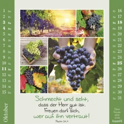 Kawohl Postkartenkalender-Kleine Freuden sehen 2026