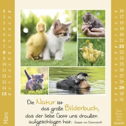 Kawohl Postkartenkalender-Kleine Freuden sehen 2026