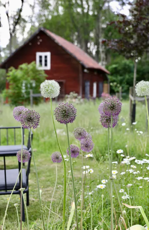 Kleine Umwege, große Erlebnisse. Eine Reise zu verborgenen Traumorten in Skandinavien.*Busse-Seewald Verlag Hot