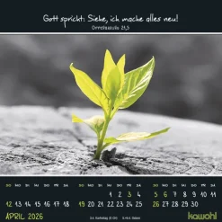 Kleine Wunder sehen 2026*Kawohl Best