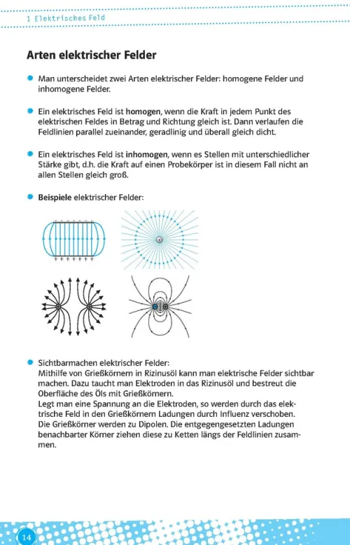 Klett Lerntraining Abi Trainer·Physik*Klett Abi last minute Physik