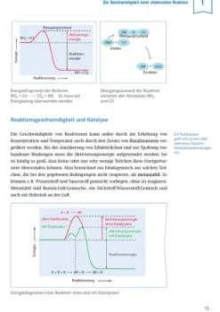 Klett Sicher im Abi Oberstufen-Wissen Chemie*Klett Lerntraining Discount