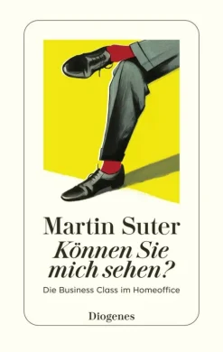 Diogenes eBooks Anthologien*Können Sie mich sehen?