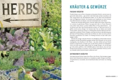 Kochen mit Jamie Oliver*Dorling Kindersley Verlag Online