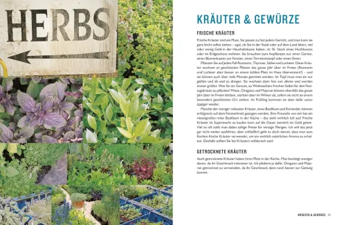 Kochen mit Jamie Oliver*Dorling Kindersley Verlag Online