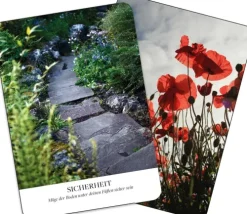 Kraftorte*Groh Verlag Online