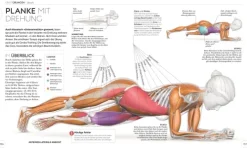 Dorling Kindersley Verlag Ratgeber-Krafttraining - Die Anatomie verstehen