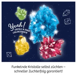 Franckh-Kosmos Forschen & Entdecken*Kristall-Zucht