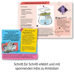 Franckh-Kosmos Forschen & Entdecken*Kristall-Zucht