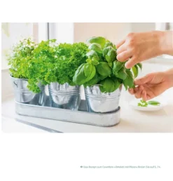 Köstlich essen Reflux und Sodbrennen*Trias