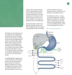 Köstlich essen Reflux und Sodbrennen*Trias