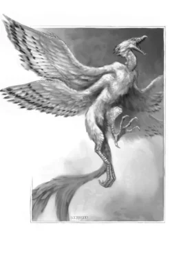 Cross Cult Historische Fantasy*Lady Trents Memoiren 2