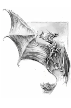 Lady Trents Memoiren 1*Cross Cult Outlet