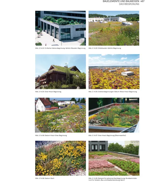 Birkhäuser Verlag GmbH Architektur-Landschaft konstruieren