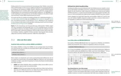 Landwirtschaftssimulator 22 - Der inoffizielle Guide*BILDNER Verlag Online