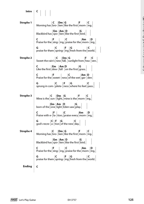 Hage Musikverlag Musikwissenschaft-Let's Play Guitar