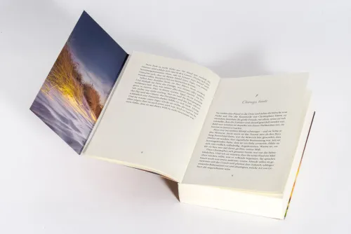 Leuchtturmtänze*Heyne Taschenbuch Sale