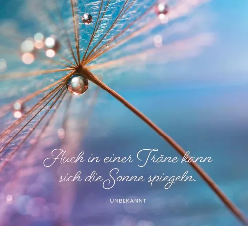 Lichtblicke für jeden Tag*Groh Verlag Discount