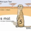 jandorfverlag Nach Fächern·Deutsch*Lies mal 5 - Das Heft mit dem Erdmännchen