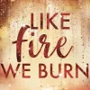 Like Fire We Burn*Penguin Random House Best