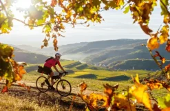 LONELY PLANET Bildband Legendäre Radtouren in Deutschland*Mairdumont Outlet