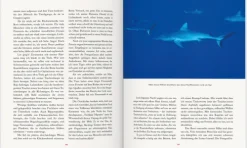 Mairdumont Bildbände|Nach Zielgruppen-LONELY PLANET Bildband Mach deine Reise