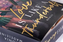 Love is like a Thunderbolt*Heyne Taschenbuch Online