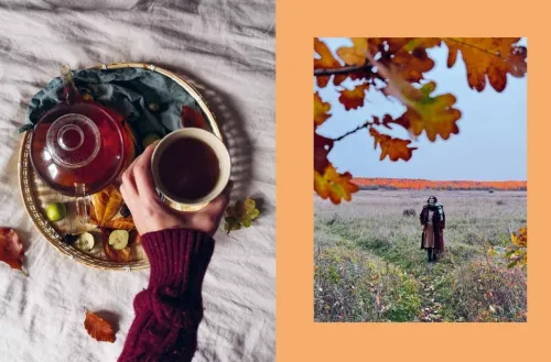 Lovis kocht*DuMont Buchverlag GmbH Discount