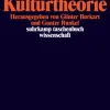 Suhrkamp Soziologie-Luhmann und die Kulturtheorie