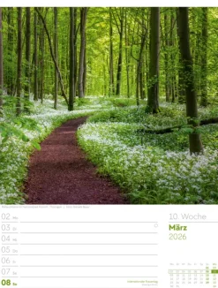 Ackermann Kunstverlag Wochenkalender*Malerisches Deutschland Wochenplaner Kalender 2026