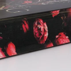 Married into Magic: Deal with the Elf King*Carlsen Verlag GmbH Best