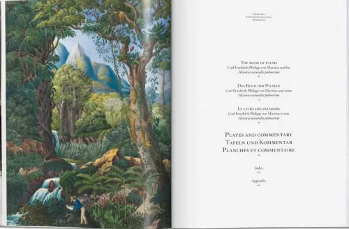 Martius. The Book of Palms*Taschen GmbH Online