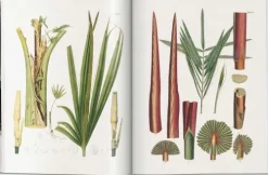 Martius. The Book of Palms*Taschen GmbH Online