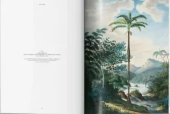 Martius. The Book of Palms*Taschen GmbH Online