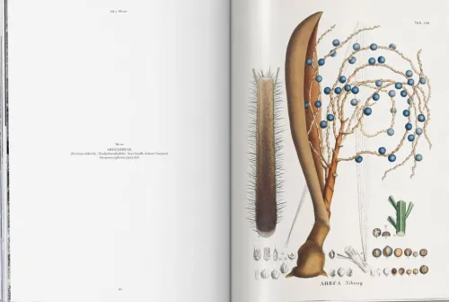 Martius. The Book of Palms*Taschen GmbH Online