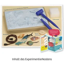 Franckh-Kosmos Forschen & Entdecken-Meeres-Abenteuer