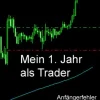 Mein 1. Jahr als Trader*epubli Online