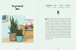 Mein Garten auf der Fensterbank*Groh Verlag Sale