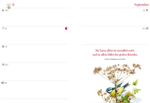 Coppenrath Geburtstagskalender-Mein Jahr 2027 - rot