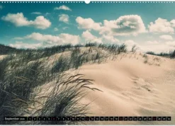 Calvendo Wandkalender-Mein Jahr auf Norderney (Wandkalender 2026 DIN A2 quer), Monatskalender