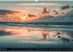 Calvendo Wandkalender-Mein Jahr auf Norderney (Wandkalender 2026 DIN A2 quer), Monatskalender