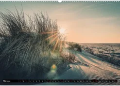 Calvendo Wandkalender-Mein Jahr auf Norderney (Wandkalender 2026 DIN A2 quer), Monatskalender