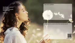 Neue Stadt Verlag GmbH Sachbücher-Mein Leben - windschief und glänzend