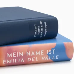 Suhrkamp Verlag Historische Romane-Mein Name ist Emilia del Valle