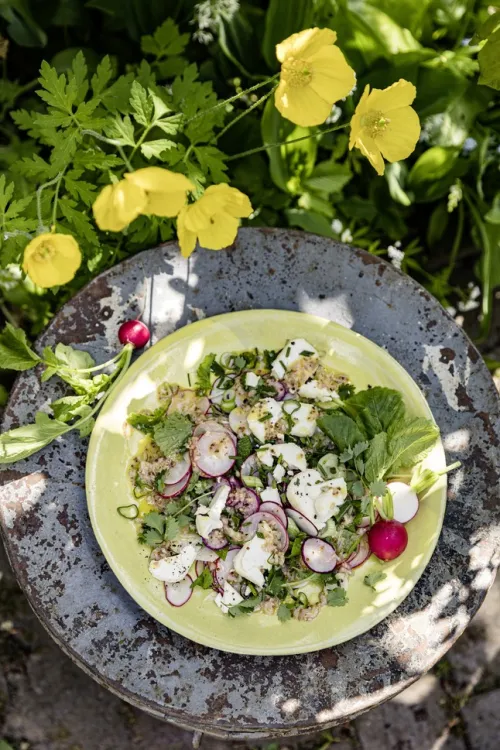AT Verlag Kochbücher Nach Zutaten*Meine grüne französische Bistro-Küche