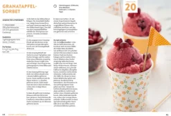 Dr. Oetker Verlag Desserts-Meine Lieblingsrezepte: Eis, Parfait & Sorbet